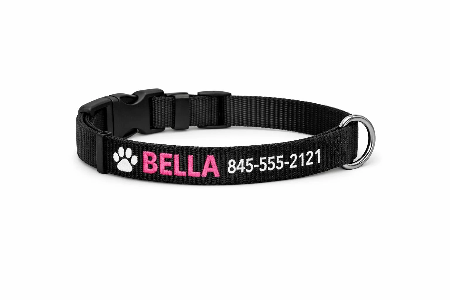 Custom Pet Collar 1 Custom Pet Collar