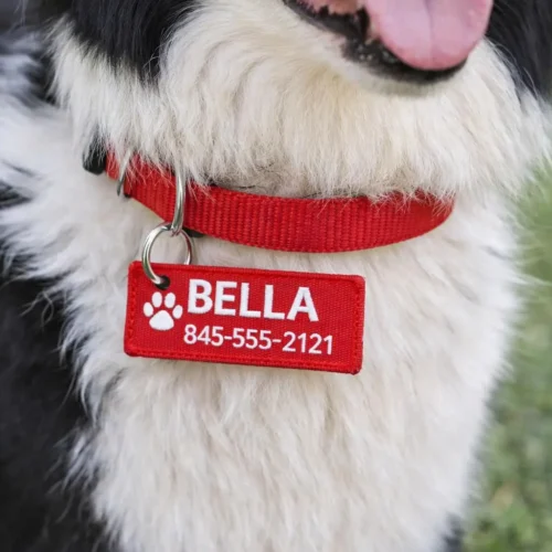 Custom Pet Name Keychain – Personalized Pet ID Tag Holder
